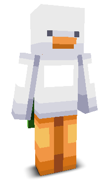 User's Minecraft appearance