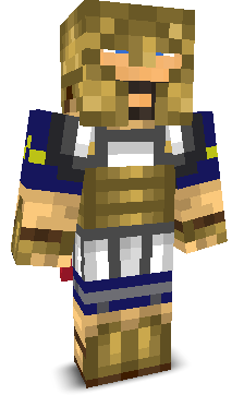 User's Minecraft appearance