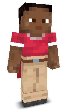 User's Minecraft appearance