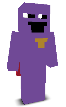 User's Minecraft appearance