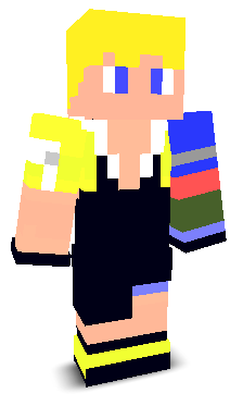 User's Minecraft appearance