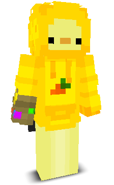 User's Minecraft appearance