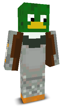 User's Minecraft appearance