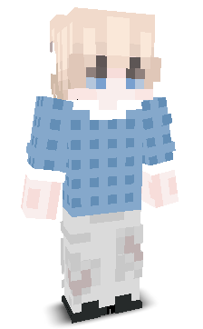 User's Minecraft appearance