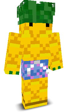 User's Minecraft appearance