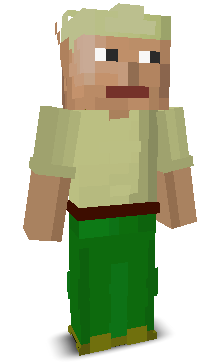 User's Minecraft appearance
