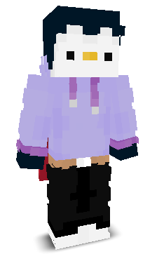 User's Minecraft appearance