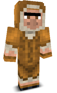User's Minecraft appearance