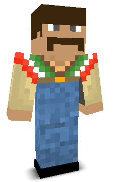 User's Minecraft appearance