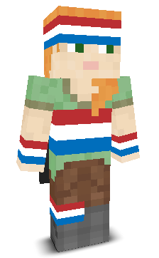 User's Minecraft appearance