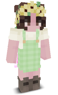 User's Minecraft appearance