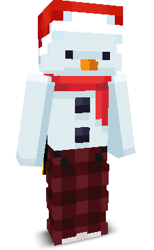 User's Minecraft appearance