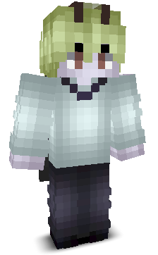 User's Minecraft appearance