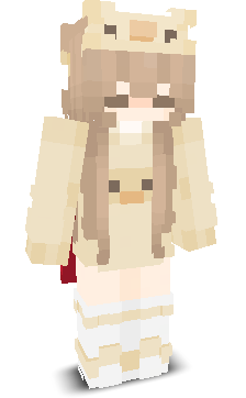 User's Minecraft appearance