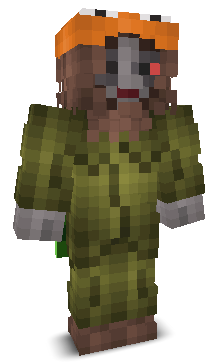 User's Minecraft appearance