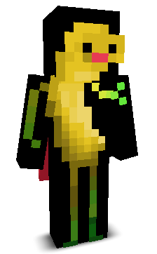User's Minecraft appearance