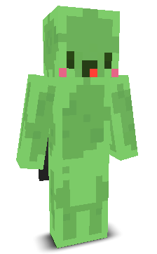 User's Minecraft appearance