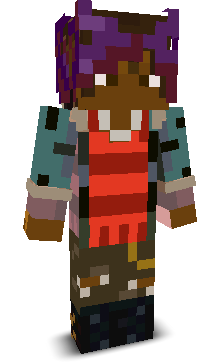 User's Minecraft appearance