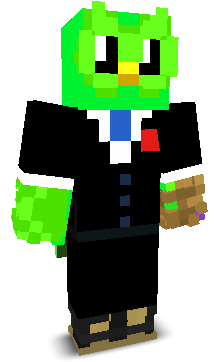User's Minecraft appearance