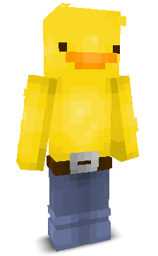 User's Minecraft appearance