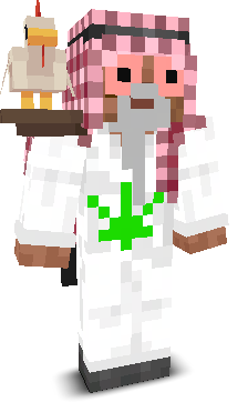 User's Minecraft appearance