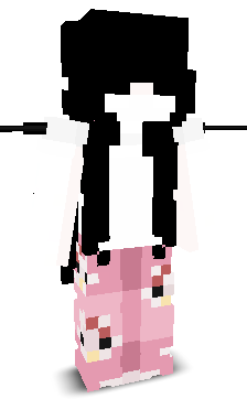 User's Minecraft appearance