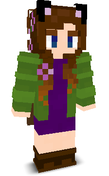User's Minecraft appearance