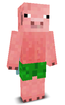 User's Minecraft appearance