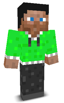 User's Minecraft appearance