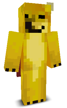 User's Minecraft appearance