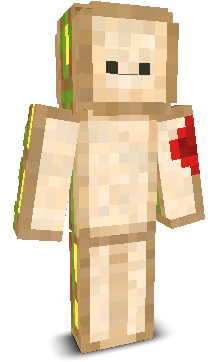 User's Minecraft appearance