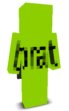 User's Minecraft appearance