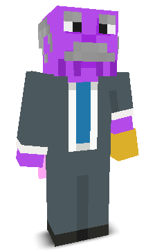 User's Minecraft appearance