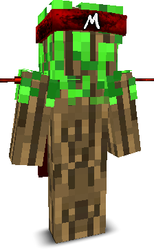 User's Minecraft appearance
