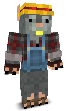 User's Minecraft appearance