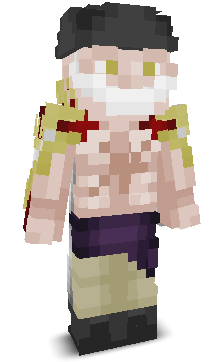 User's Minecraft appearance