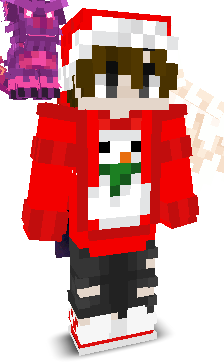 User's Minecraft appearance
