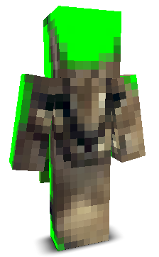 User's Minecraft appearance