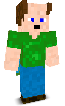 User's Minecraft appearance