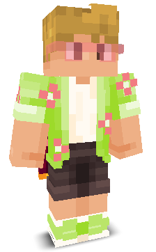 User's Minecraft appearance