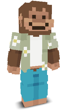 User's Minecraft appearance