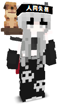 User's Minecraft appearance