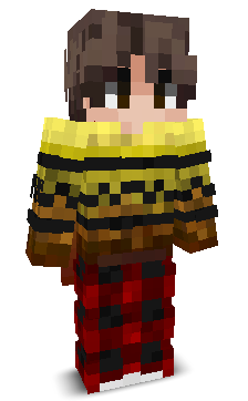 User's Minecraft appearance