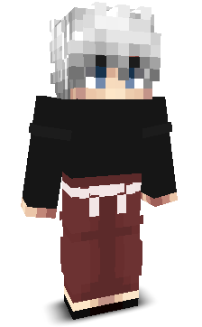 User's Minecraft appearance