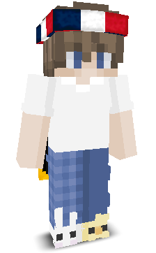 User's Minecraft appearance