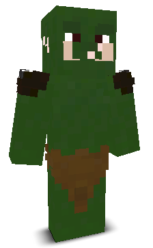 User's Minecraft appearance