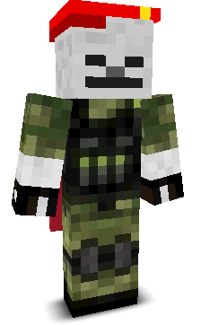 User's Minecraft appearance