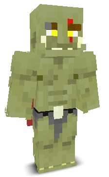User's Minecraft appearance