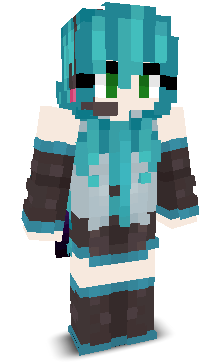 User's Minecraft appearance