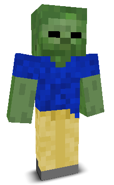 User's Minecraft appearance